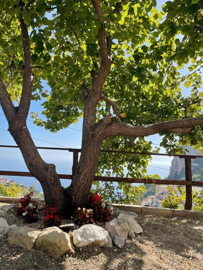 Apartamento La Di Enzo Con Vista Mare